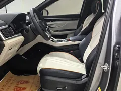2021 BYD PLUS DM-i 110KM PLUS — фото 7