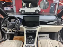 2021 BYD PLUS DM-i 110KM PLUS — фото 9