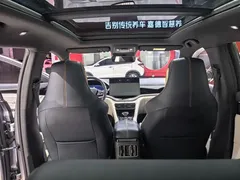2021 BYD PLUS DM-i 110KM PLUS — фото 10