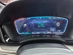 2021 BYD PLUS DM-i 110KM PLUS — фото 12
