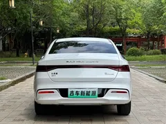 2024 BYD Qin PLUS 55KM, белый — фото 5
