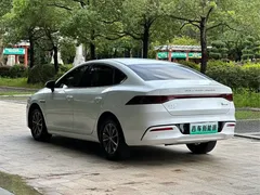 2024 BYD Qin PLUS 55KM, белый — фото 6