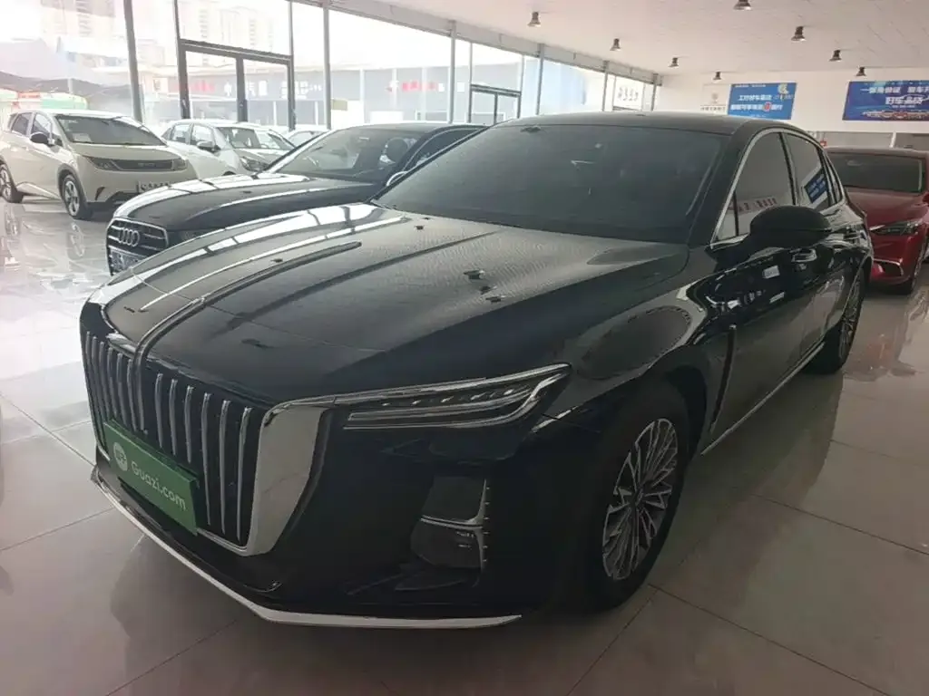2024 Hongqi H5 2.0T AT