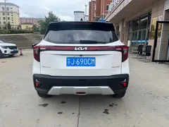 2023 Kia Seltos 1.5L CVT Luxury, белый — фото 6