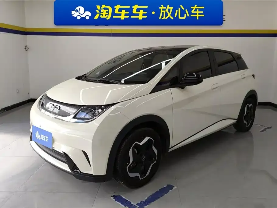 2021 BYD Dolphin 405km Fashion