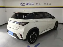 2021 BYD Dolphin 405km Fashion — фото 3