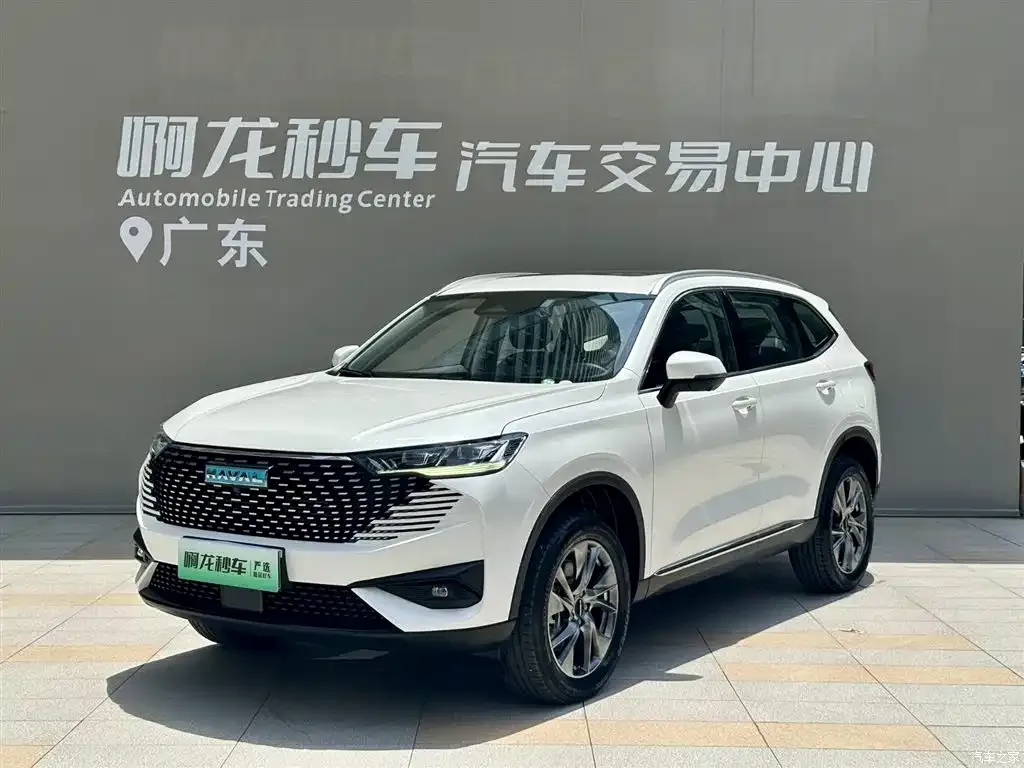 2023 Haval H6 New Energy DHT-PHEV 110KM Yuexing
