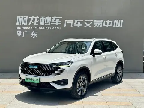 2023 Haval H6 New Energy DHT-PHEV 110KM Yuexing