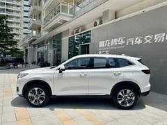2023 Haval H6 New Energy DHT-PHEV 110KM Yuexing, белый — фото 3