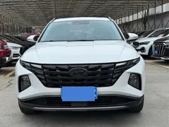 2021 Hyundai Tucson L 1.5T DCT LUX Premium, белый — фото 2