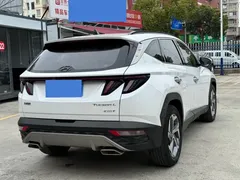 2021 Hyundai Tucson L 1.5T DCT LUX Premium, белый — фото 7