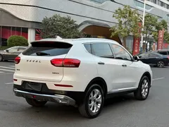 2020 Haval H6 1.5GDIT AT, белый — фото 4