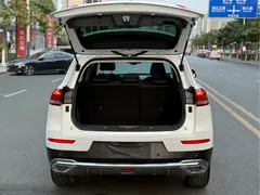 2020 Haval H6 1.5GDIT AT, белый — фото 22
