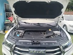 2021 Haval H6 1.5T AT Champion, белый — фото 20
