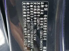 2021 Exeed Xingtu TX Super 4WD 1.6T 4WD Super 2, чёрный — фото 20