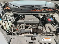 2021 Honda CR-V 240TURBO CVT 2WD Comfort, белый — фото 16
