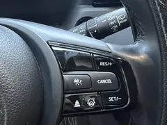2023 Honda XR-V 1.5L CVT, белый — фото 8