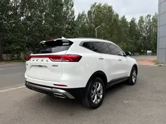 2021 Haval H6 1.5T AT, белый — фото 5