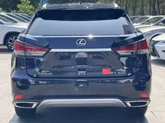 2020 Lexus RX 300 4WD, синий — фото 5
