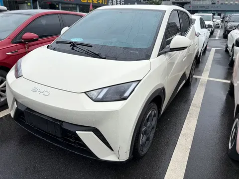 2024 BYD Seagull EV 305km Honor Freedom