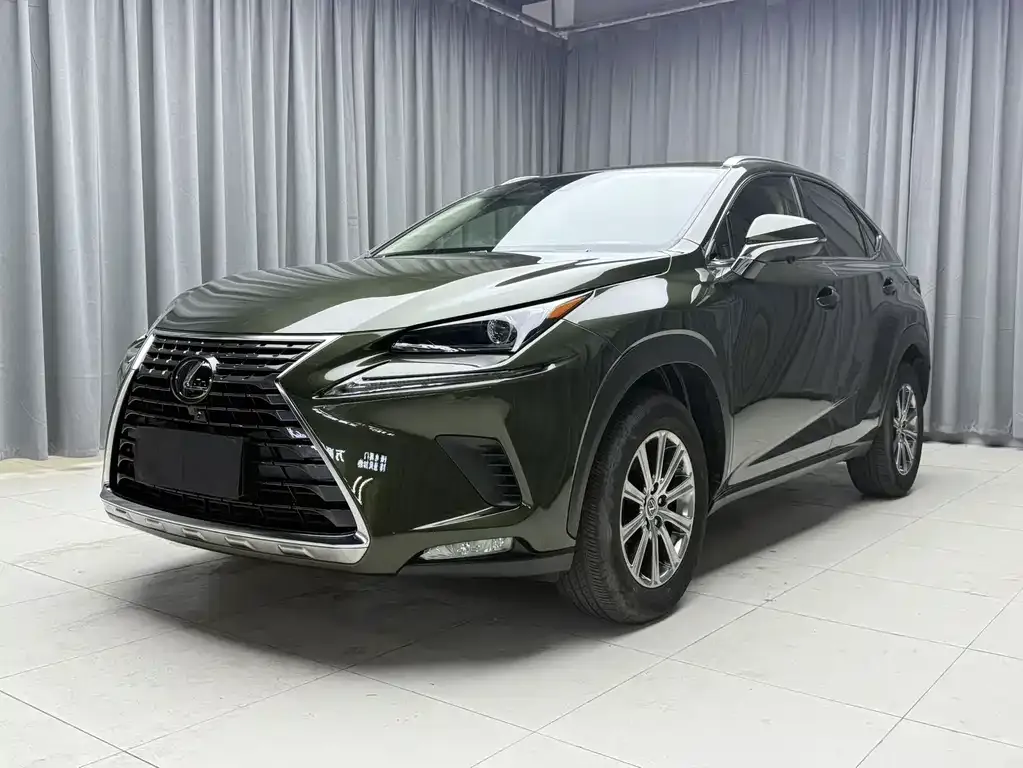 2020 Lexus NX 200 Fashion VI