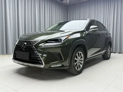 2020 Lexus NX 200 Fashion VI