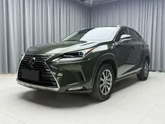 2020 Lexus NX 200 Fashion VI, зелёный — фото 1