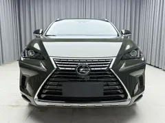 2020 Lexus NX 200 Fashion VI, зелёный — фото 4