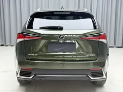 2020 Lexus NX 200 Fashion VI, зелёный — фото 6