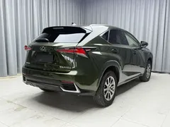 2020 Lexus NX 200 Fashion VI, зелёный — фото 7