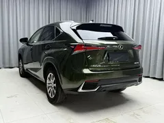 2020 Lexus NX 200 Fashion VI, зелёный — фото 8