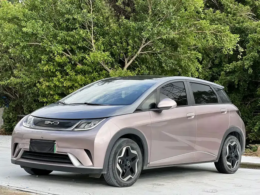 2021 BYD Dolphin 405km Fashion