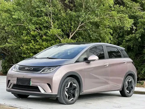 2021 BYD Dolphin 405km Fashion