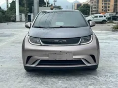 2021 BYD Dolphin 405km Fashion — фото 3