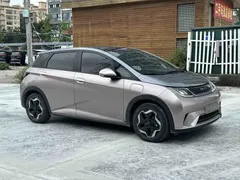 2021 BYD Dolphin 405km Fashion — фото 4