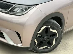 2021 BYD Dolphin 405km Fashion — фото 14