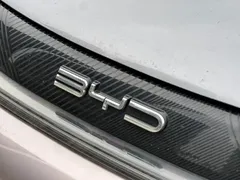 2021 BYD Dolphin 405km Fashion — фото 16
