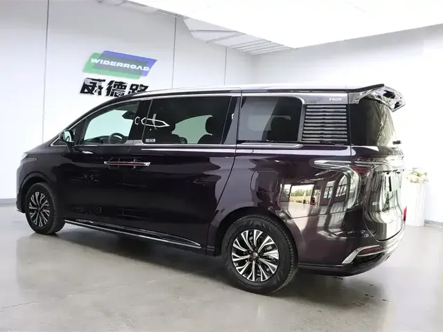 2024 Hongqi HQ9 2.0T 4WD