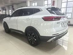 2023 Haval H6 1.5T AT Guochao Urban, белый — фото 6
