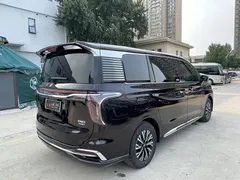 2024 Hongqi HQ9 2.0T 4WD Luxury — фото 5