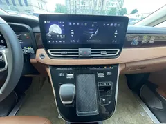 2024 Hongqi HQ9 2.0T 4WD Luxury — фото 17