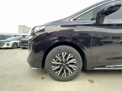 2024 Hongqi HQ9 2.0T 4WD Luxury — фото 19