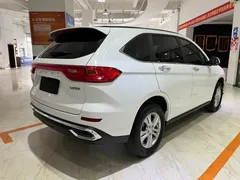 2023 Haval M6 PLUS 1.5T DCT, белый — фото 4