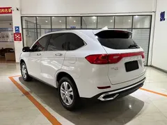 2023 Haval M6 PLUS 1.5T DCT, белый — фото 6