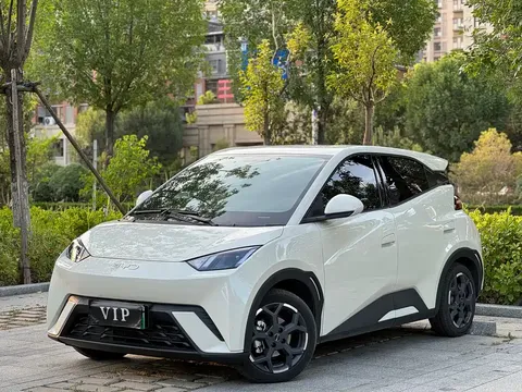 2025 BYD Seagull 305km Freedom