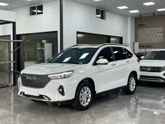 2023 Haval M6 PLUS 1.5T DCT luxury, белый — фото 1