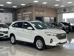 2023 Haval M6 PLUS 1.5T DCT luxury, белый — фото 3