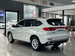 2023 Haval M6 PLUS 1.5T DCT luxury, белый — фото 15