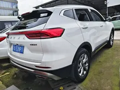 2021 Haval H6 1.5T AT Champion, белый — фото 9