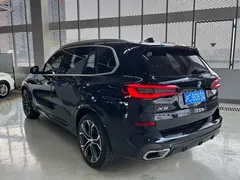 2022 BMW X5 40Li M, чёрный — фото 15